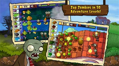 PLANTS VS ZOMBIES-图3