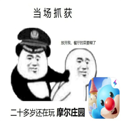 二十多岁还在玩摩尔庄园表情包