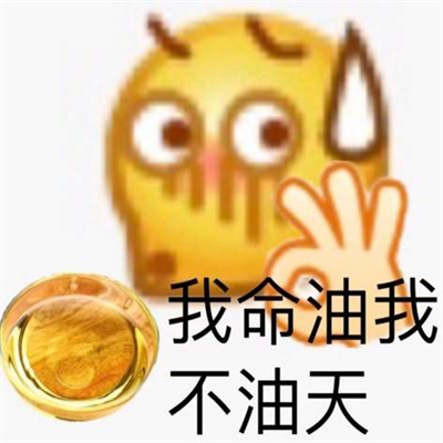 我命油我不油天王思聪表情包