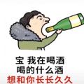 宝我在喝酒喝的什么酒想和你长长久久图片表情包