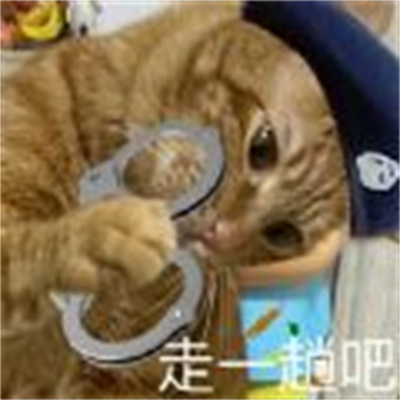 猫咪警察表情包