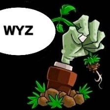 植物大战僵尸wyz支线