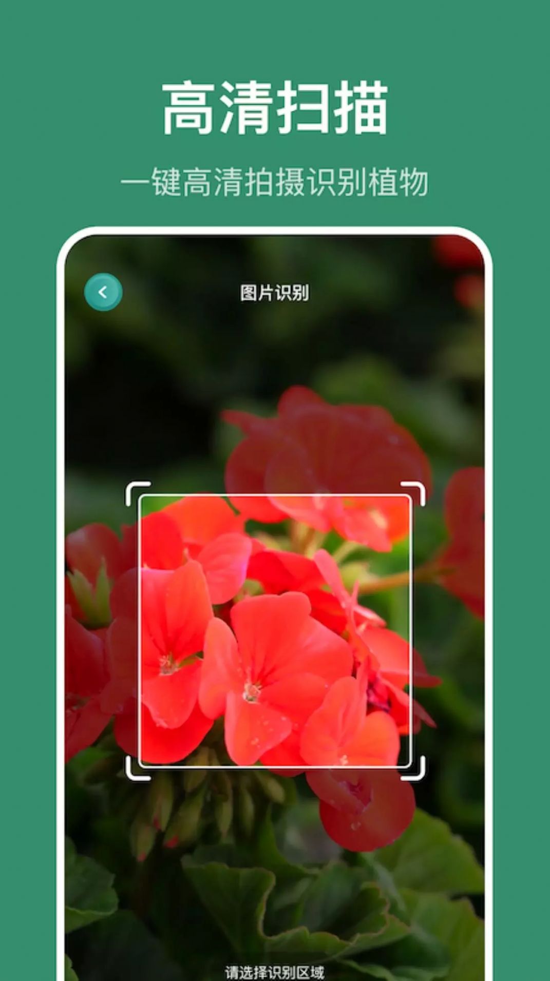 小黄养花-图2