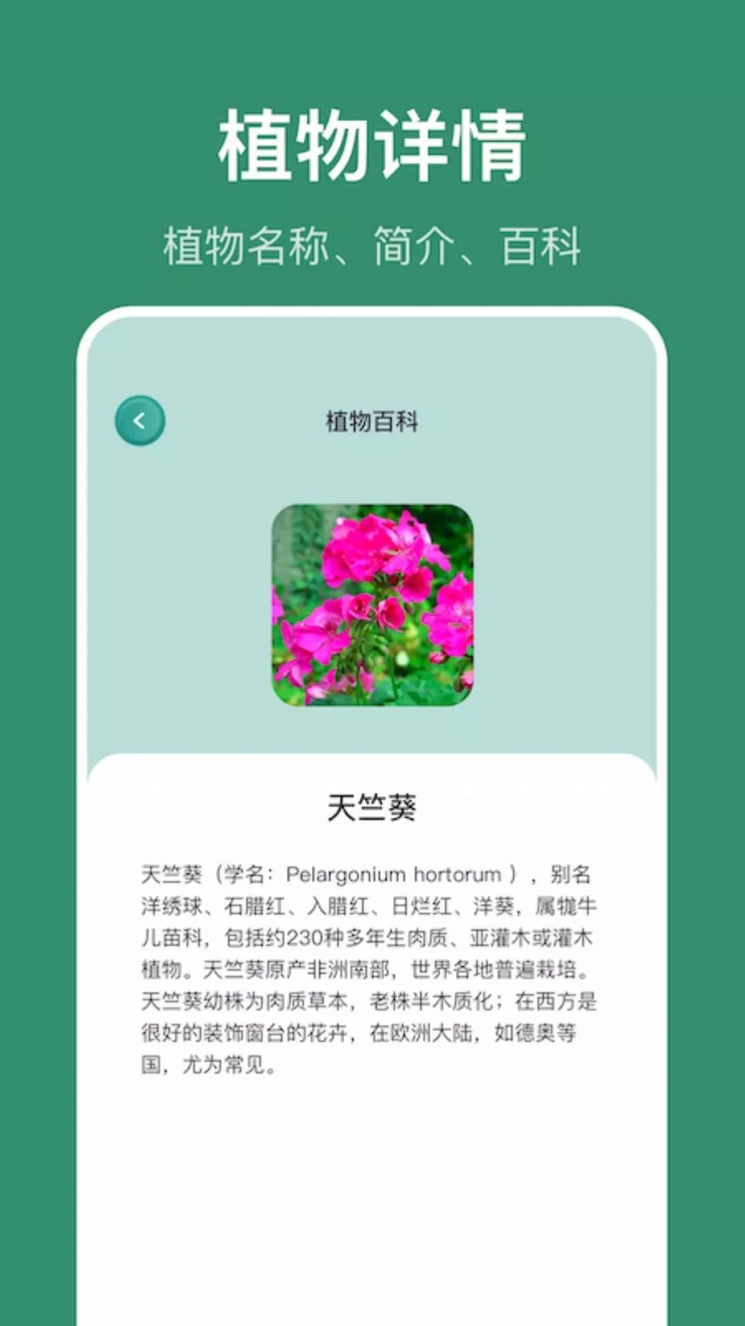 小黄养花-图3