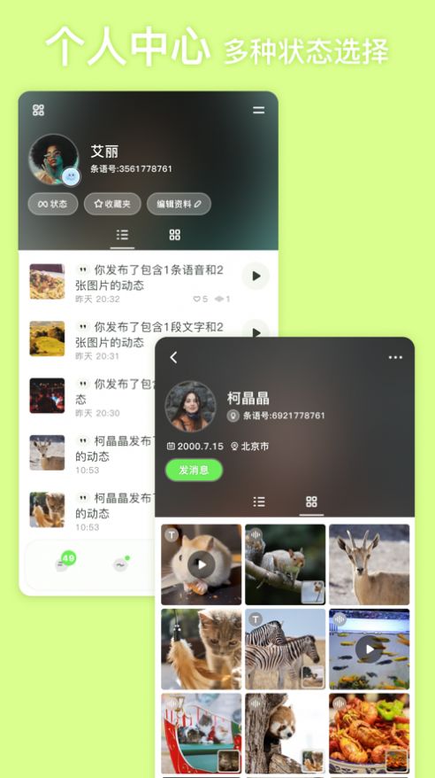 条语交友-图3