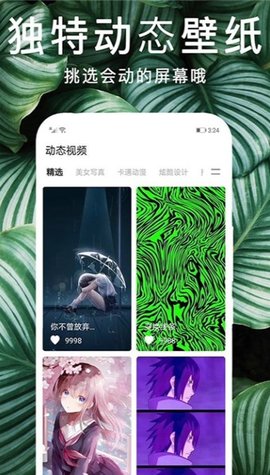 灵猫桌面壁纸-图1