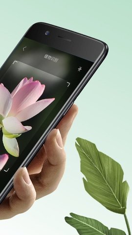 万物识图-图1
