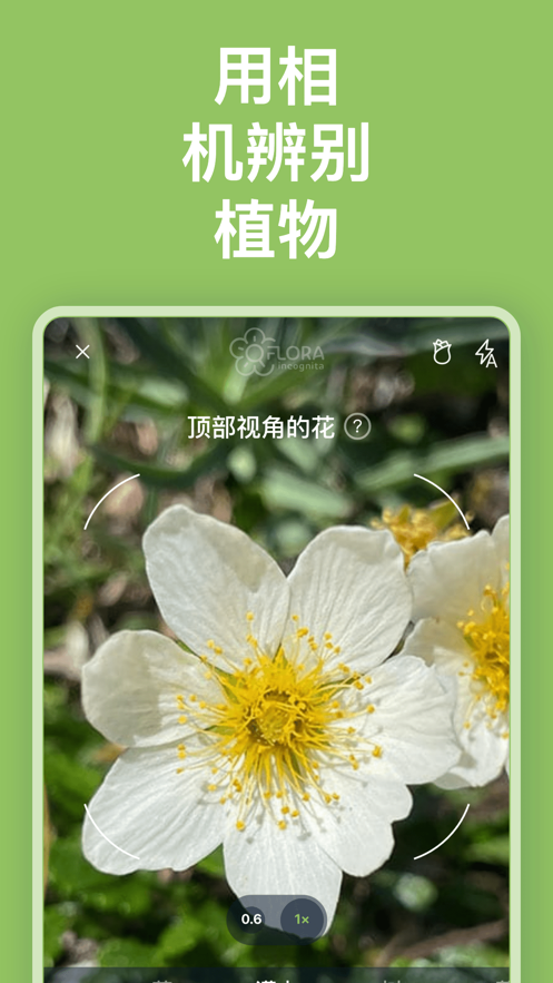 Flora Incognita-图2