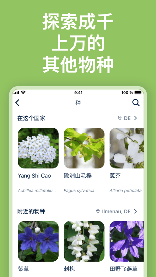 Flora Incognita-图4