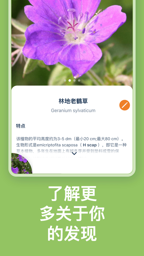 Flora Incognita-图3