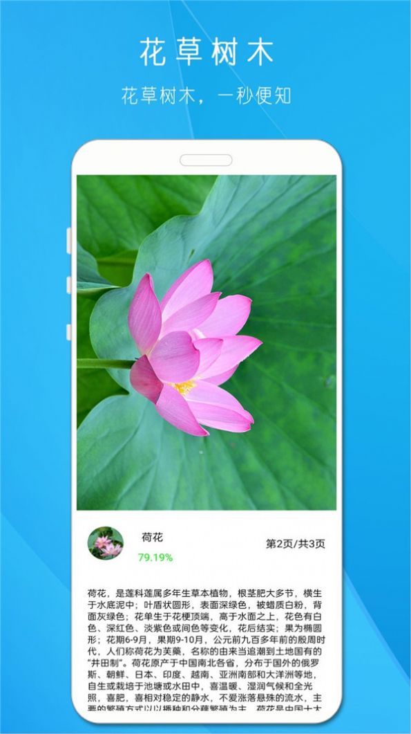 拍照识万物-图3