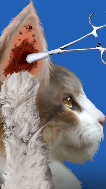 Cat Makeover-图1