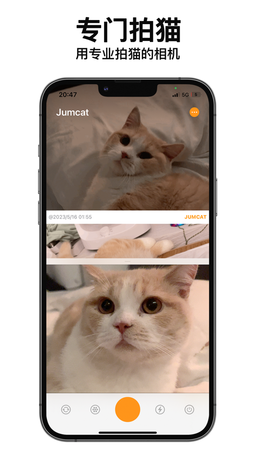 动猫相机-图3