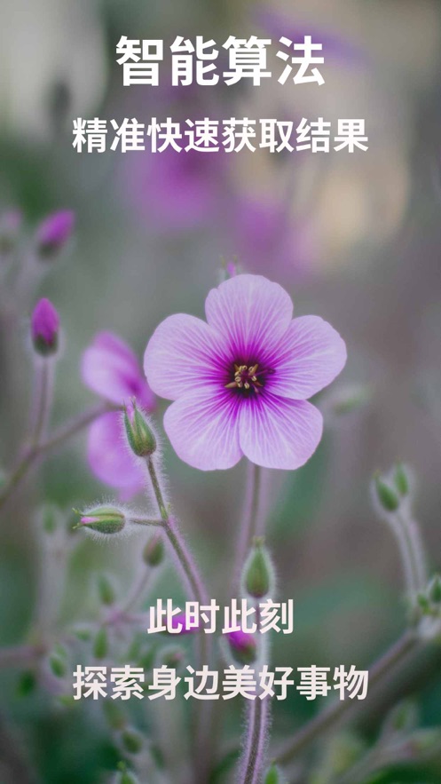 植物识别-图1