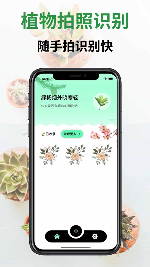 植物识别-图2
