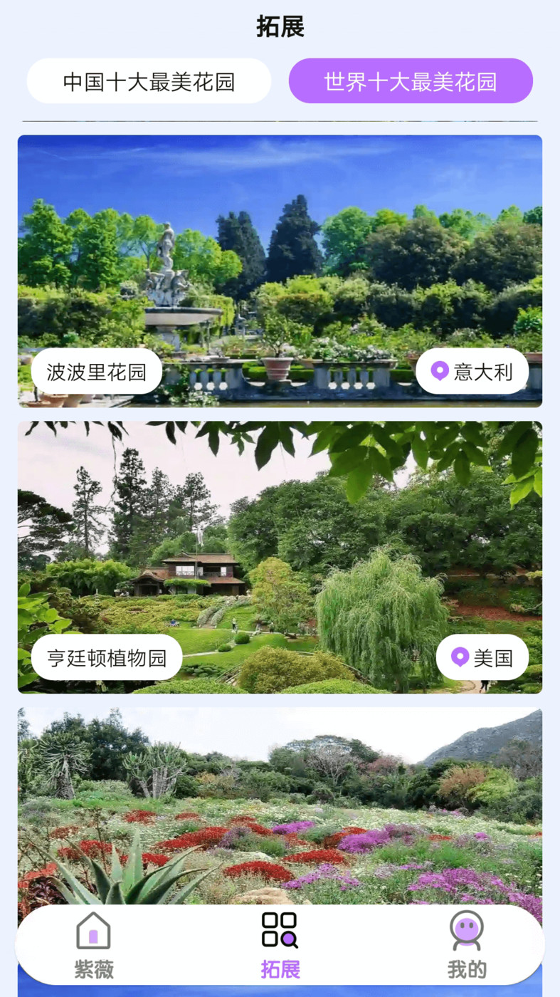 紫薇花园-图1