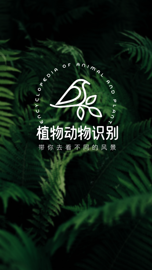 植物动物识别-图4