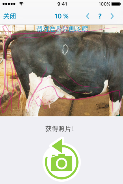 肉牛管理-图3