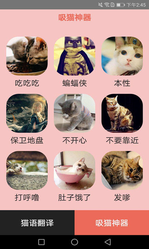 火猫猫语-图4