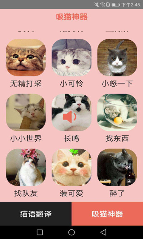 火猫猫语-图2