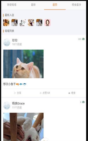 猫咪俱乐部-图2