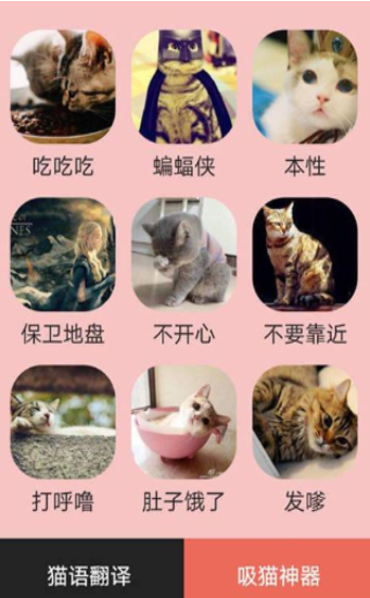 火猫密语-图2