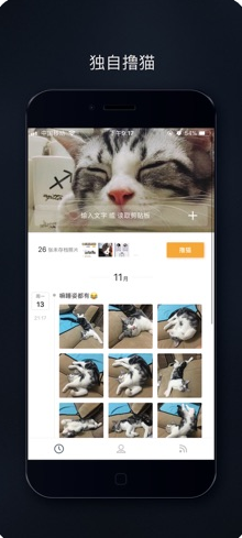 吸猫-图3