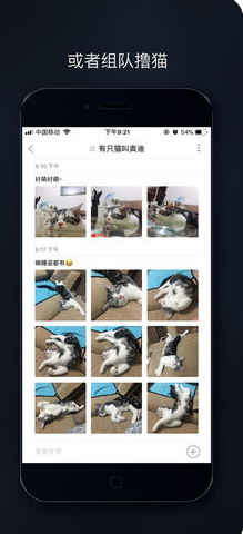 吸猫-图4