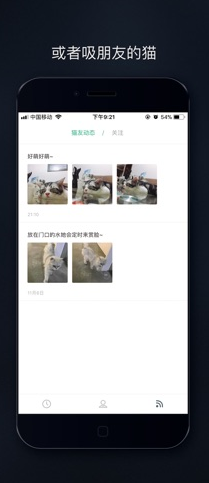 吸猫-图2