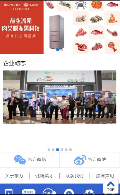 董明珠的店-图1