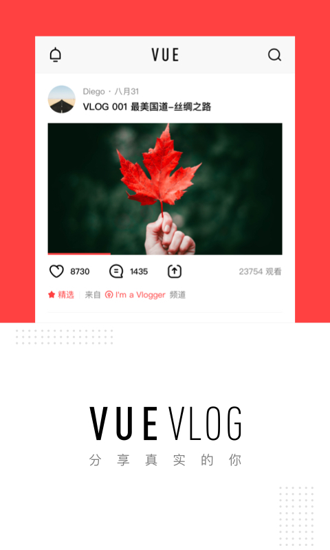 VUE Vlog-图5