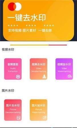 视频去水印宝-图1