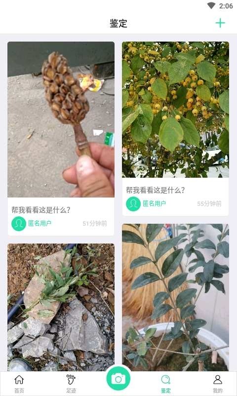 掌上植物网-图1