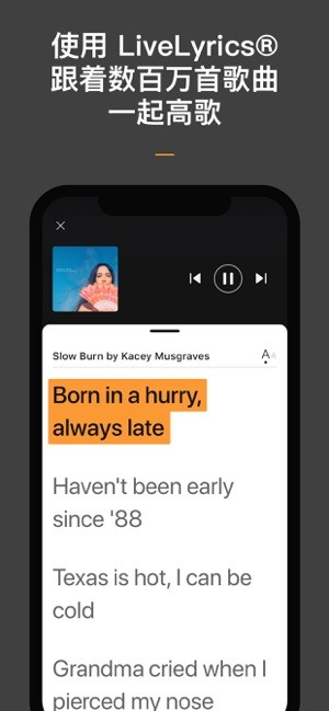 歌曲搜索神器-图3