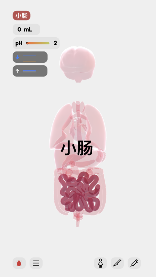 生命life怀孕游戏