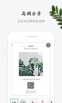 花眼-图1