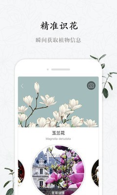 花眼-图2