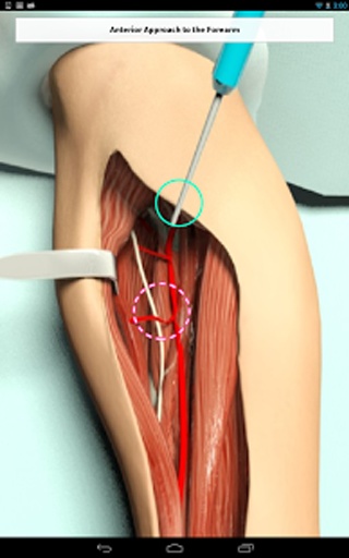 surgery中文版-图2