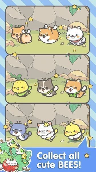 My CatPots-图2