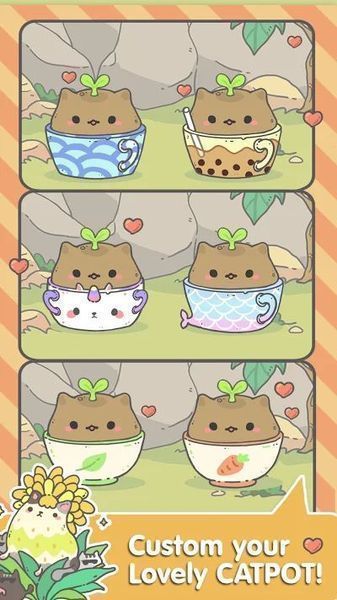 My CatPots-图3