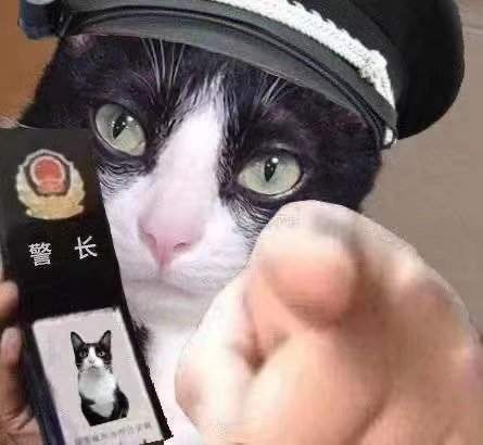 猫咪警察指人表情包-图3