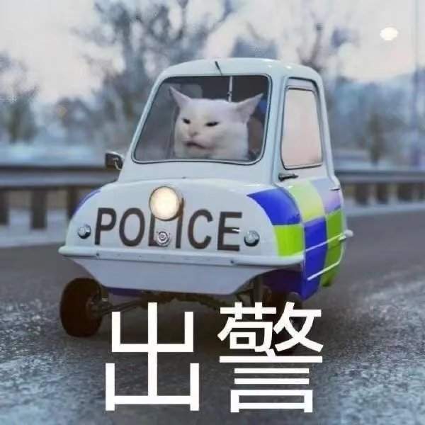 猫咪警察指人表情包