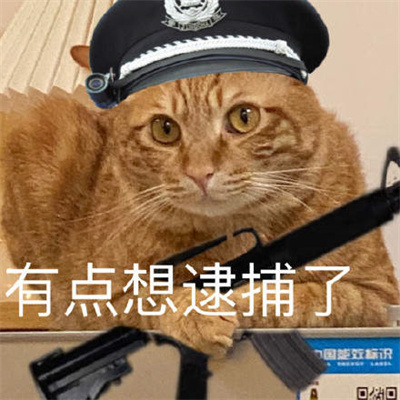 猫咪警察表情包