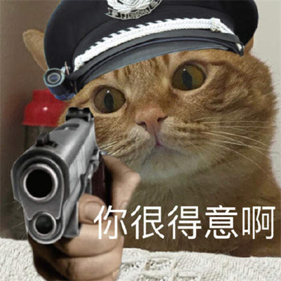 猫咪警察表情包