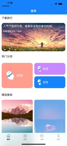 小海豹壁纸高清版