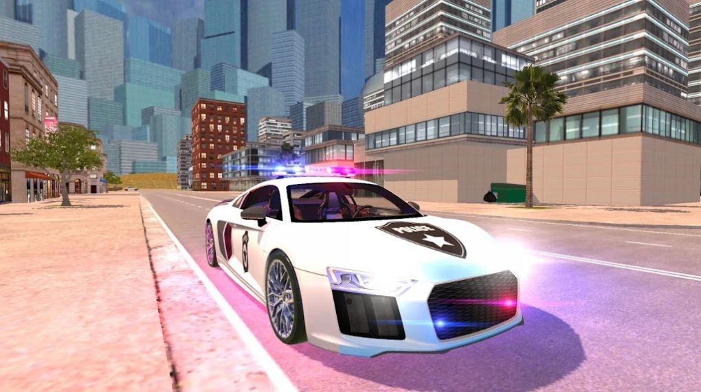 R8警察模拟器2021-图2