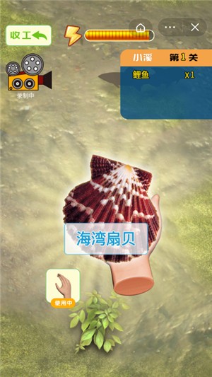 赶海抽水坑-图1