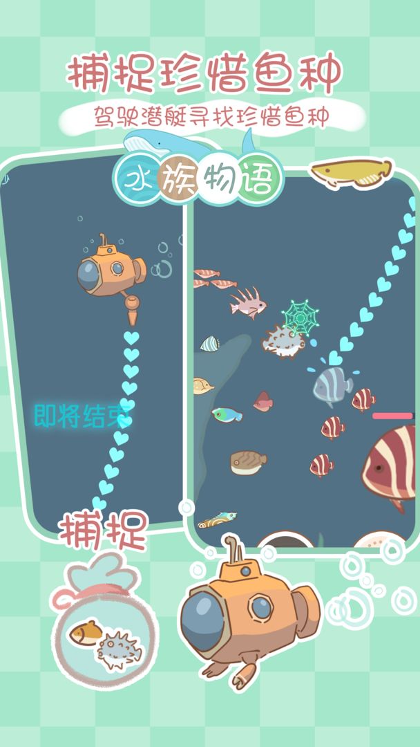 水族物语-图8