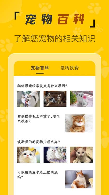 人猫翻译机-图3