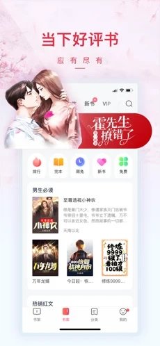 一级律师小说免费版-图1